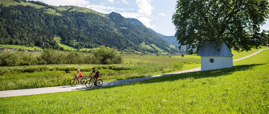 Twee fietsers op een pad in groen landschap met bergen en boomhuis