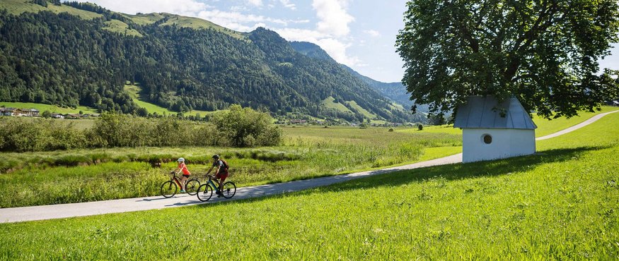 Two cyclists on a path in green countryside with mountains and a treehouse