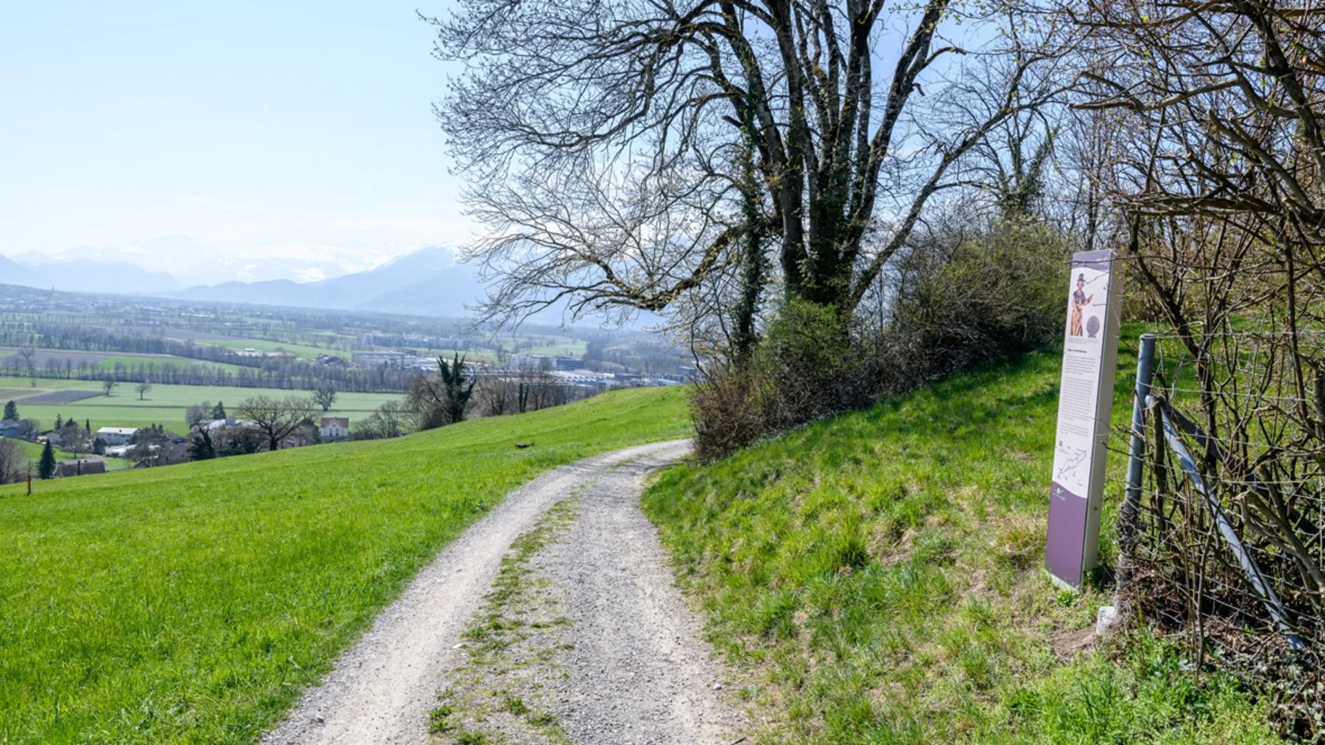 Wanderweg auf grünem Hügel mit Infotafel und Bergen im Hintergrund