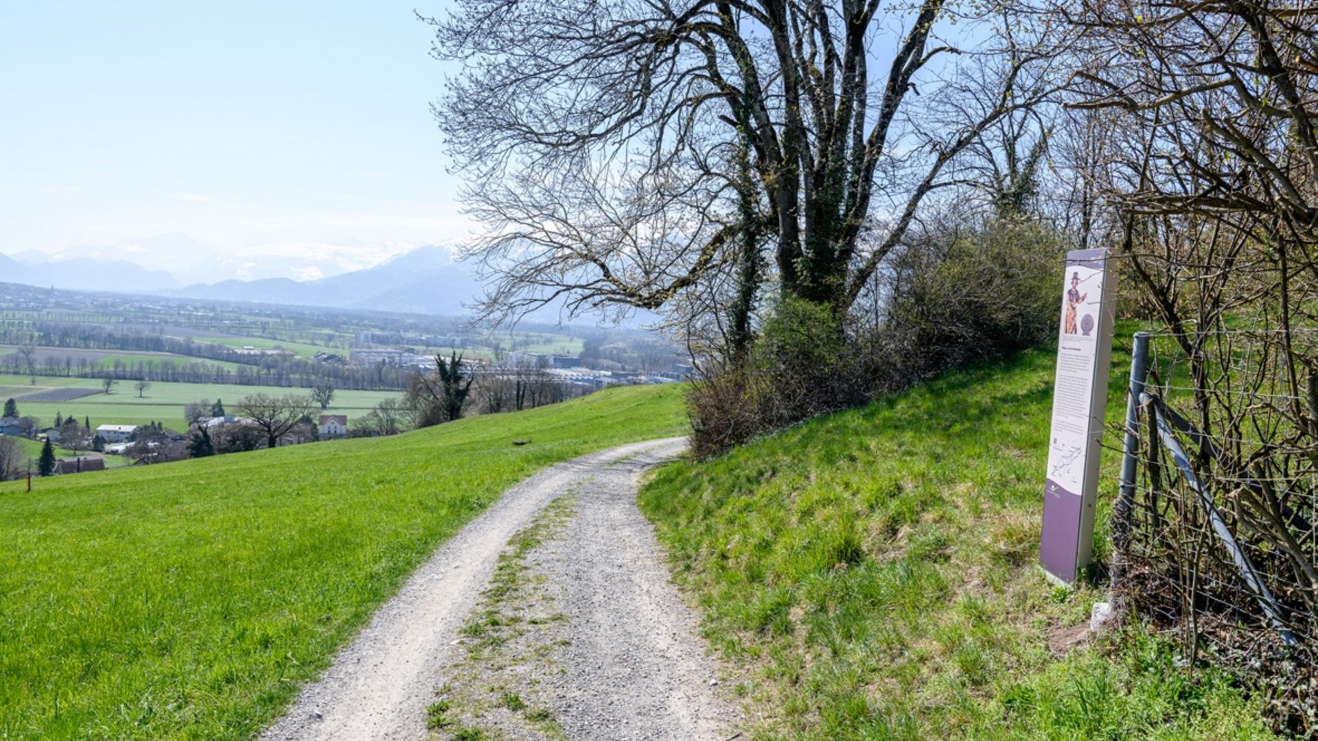 Hiking path on green hill with information board and mountains in background