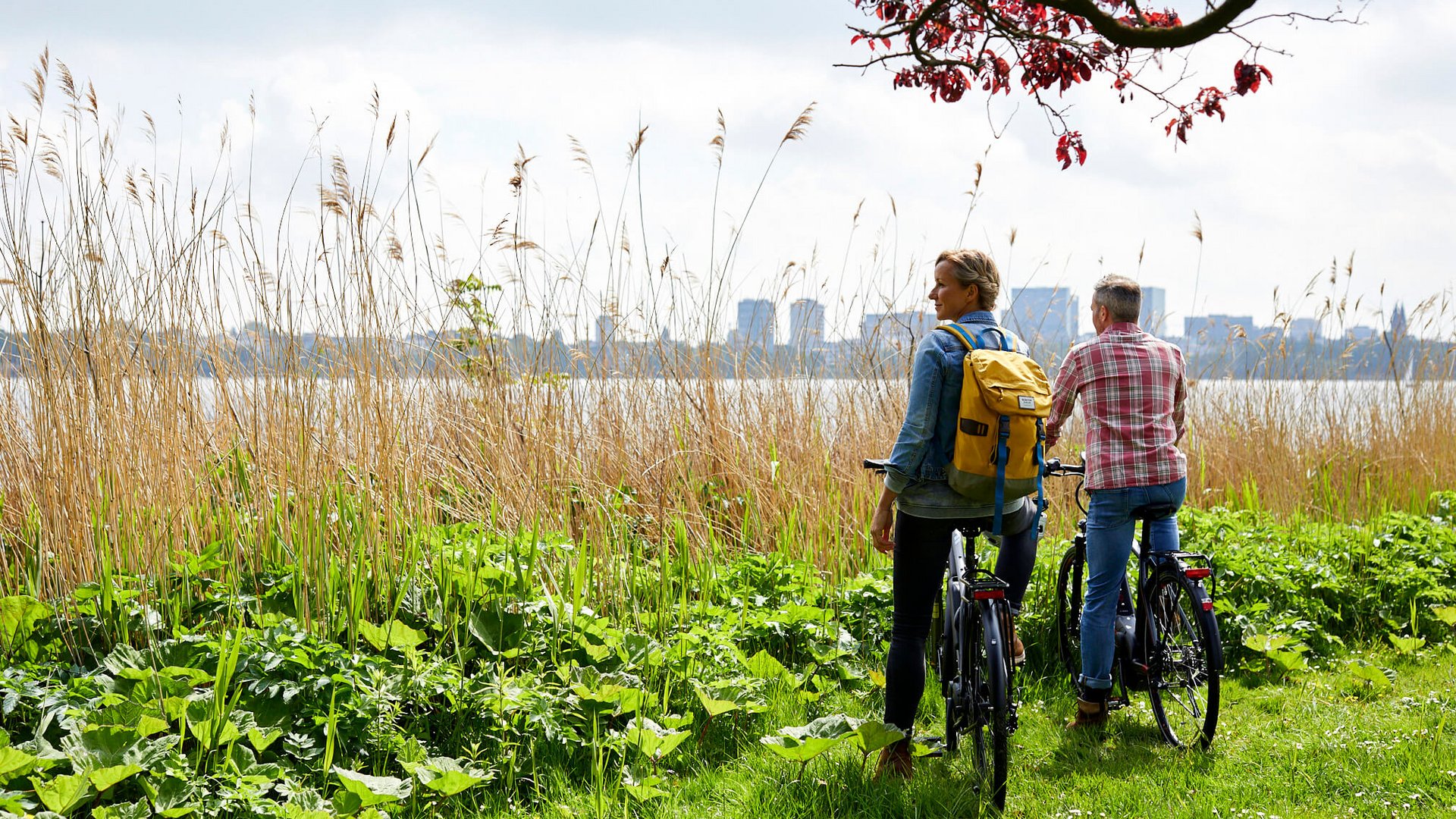 Two people with bicycles looking at water and city skyline
