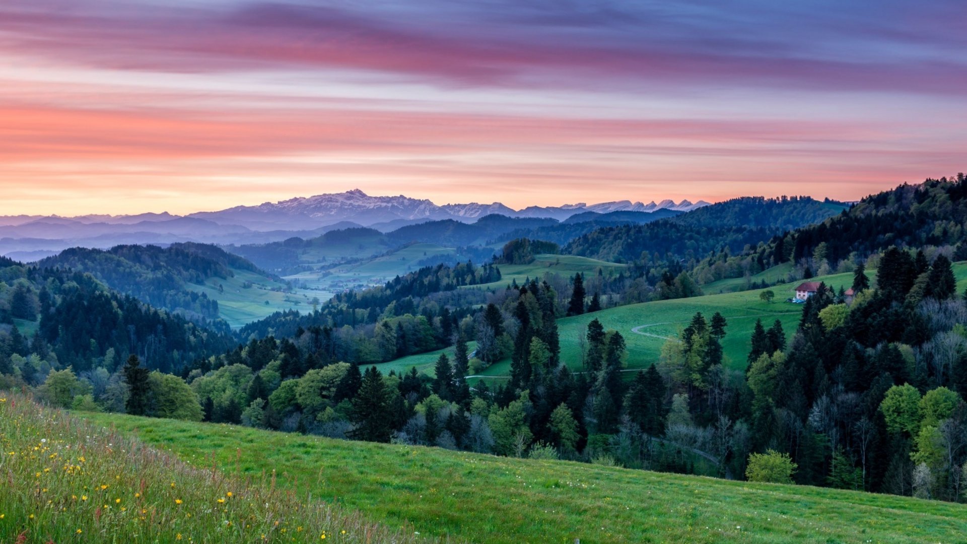 Green rolling hills with forest and mountains at sunset