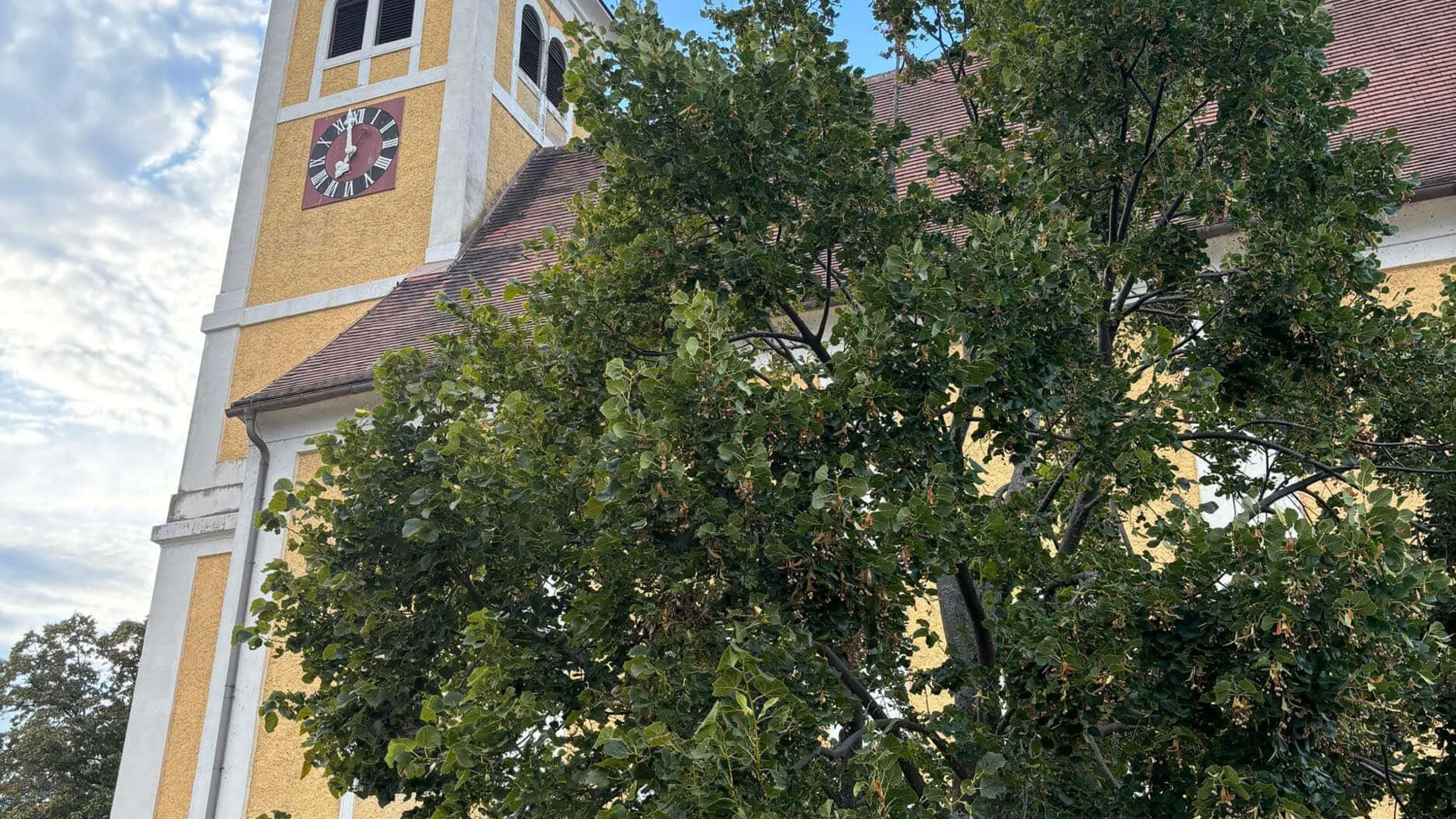 Gelbe Kirche mit Uhrenturm hinter einem grünen Baum vor blauem Himmel