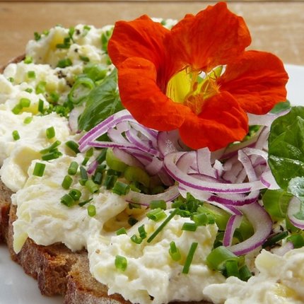 Bread with quark, onions, herbs, and an edible flower on a white plate