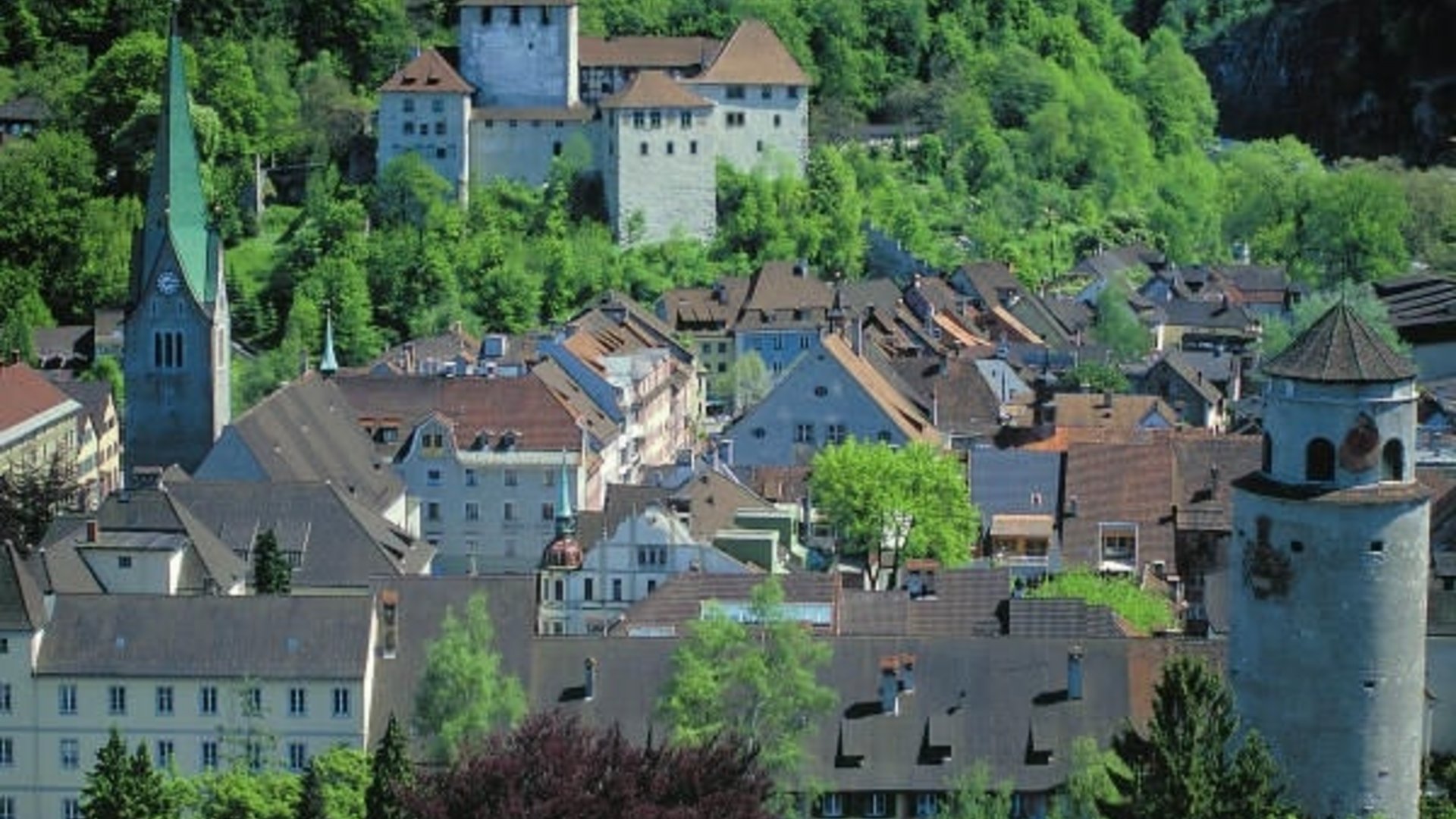 View of a historic town with castle and church tower in forested area