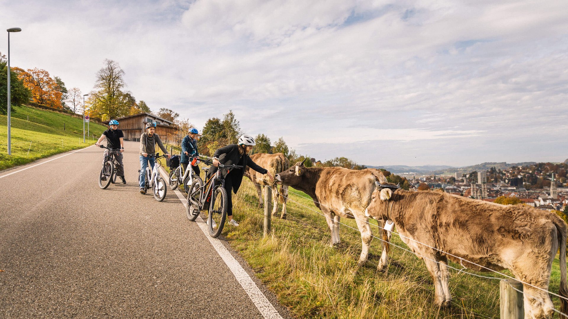 Cyclists touching cows beside a rural road on a partly cloudy day