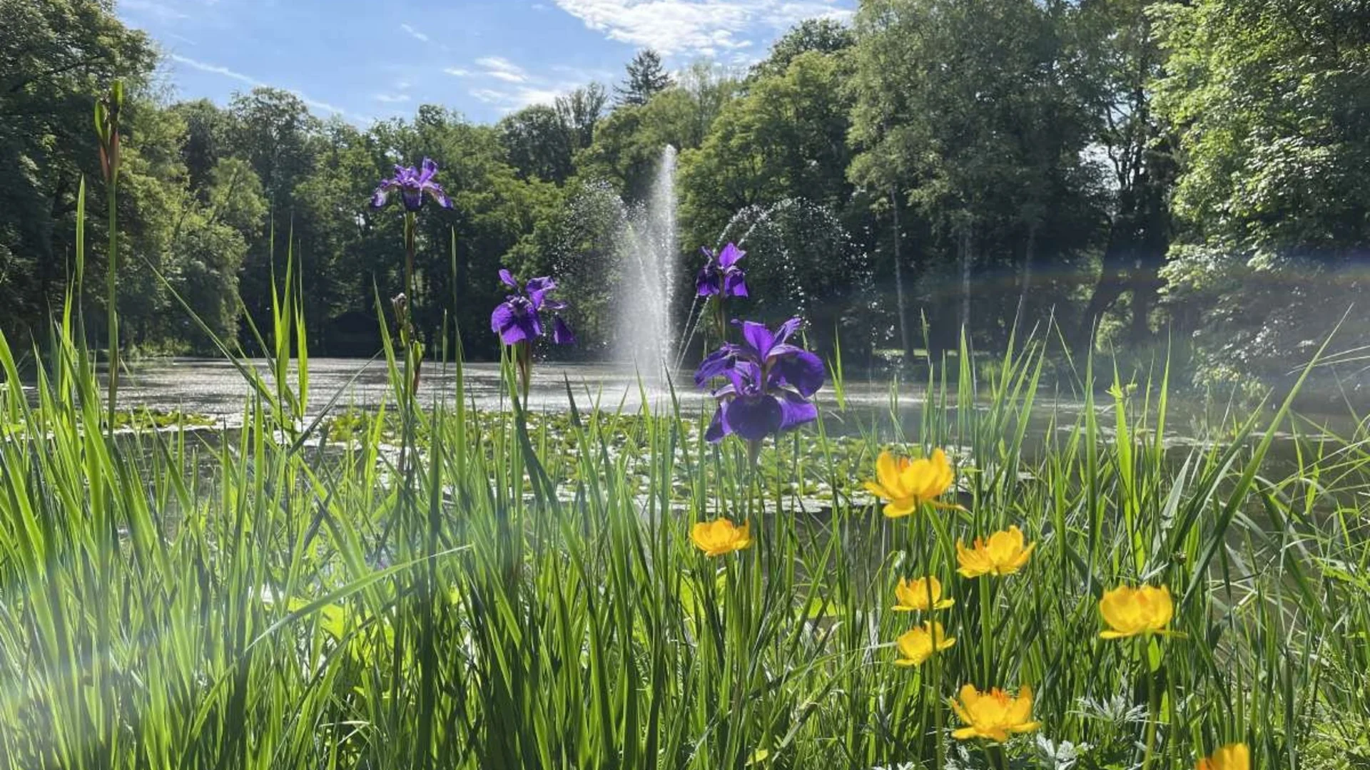 Bloemen bij een meer met fontein en bomen op de achtergrond