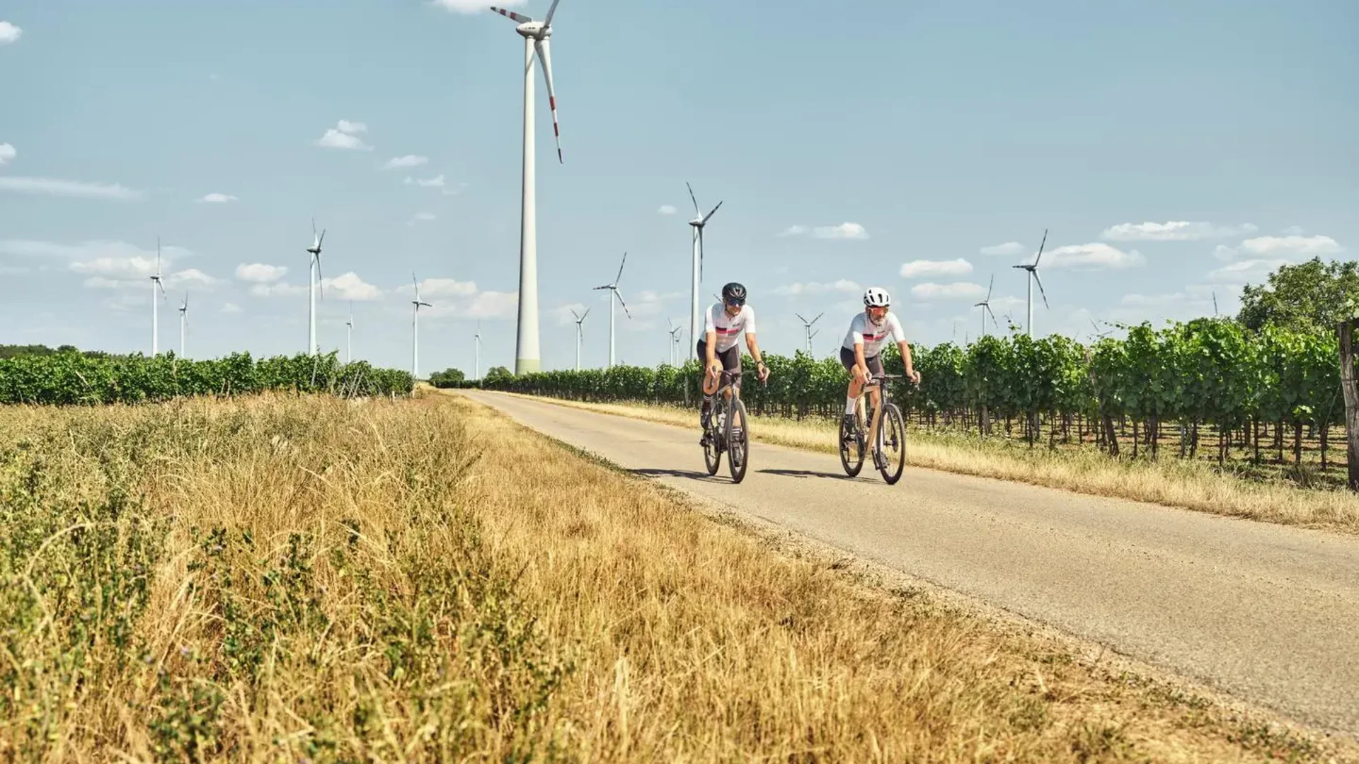 Tour-Detail © MaxonesPhoto Zwei Radfahrer fahren auf Landstraße mit Windrädern und Weinbergen im Hintergrund