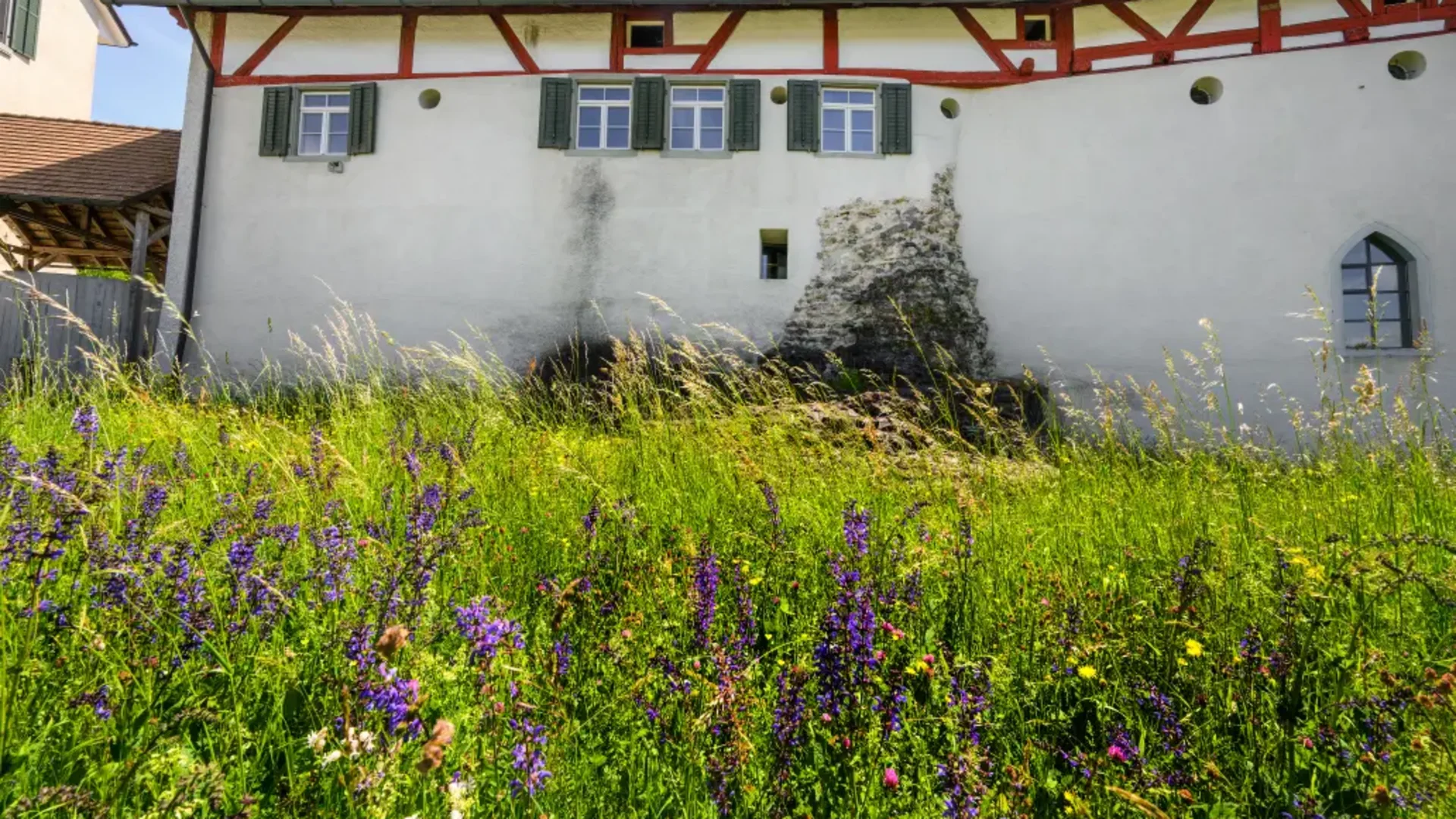 Tour-Detail © Balz Kubli Fassade eines historischen Hauses mit blühender Wiese im Vordergrund
