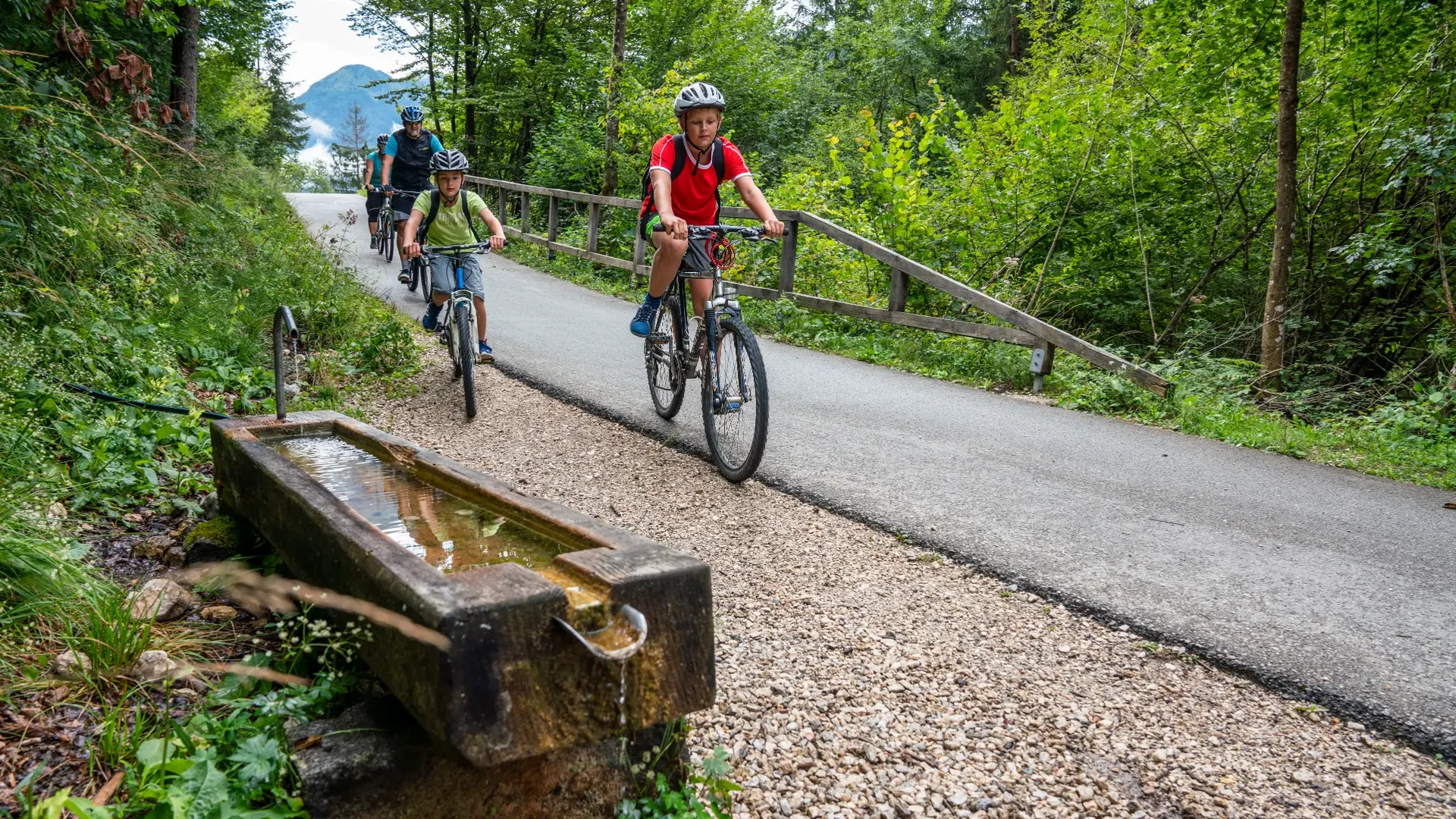 Kinderen fietsen op bospaadje naast stromend bergwater