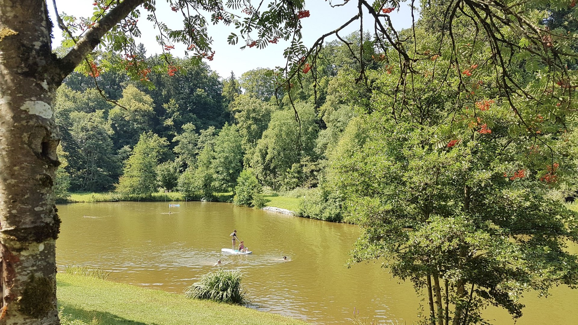People on a paddleboard on a lake surrounded by green forest