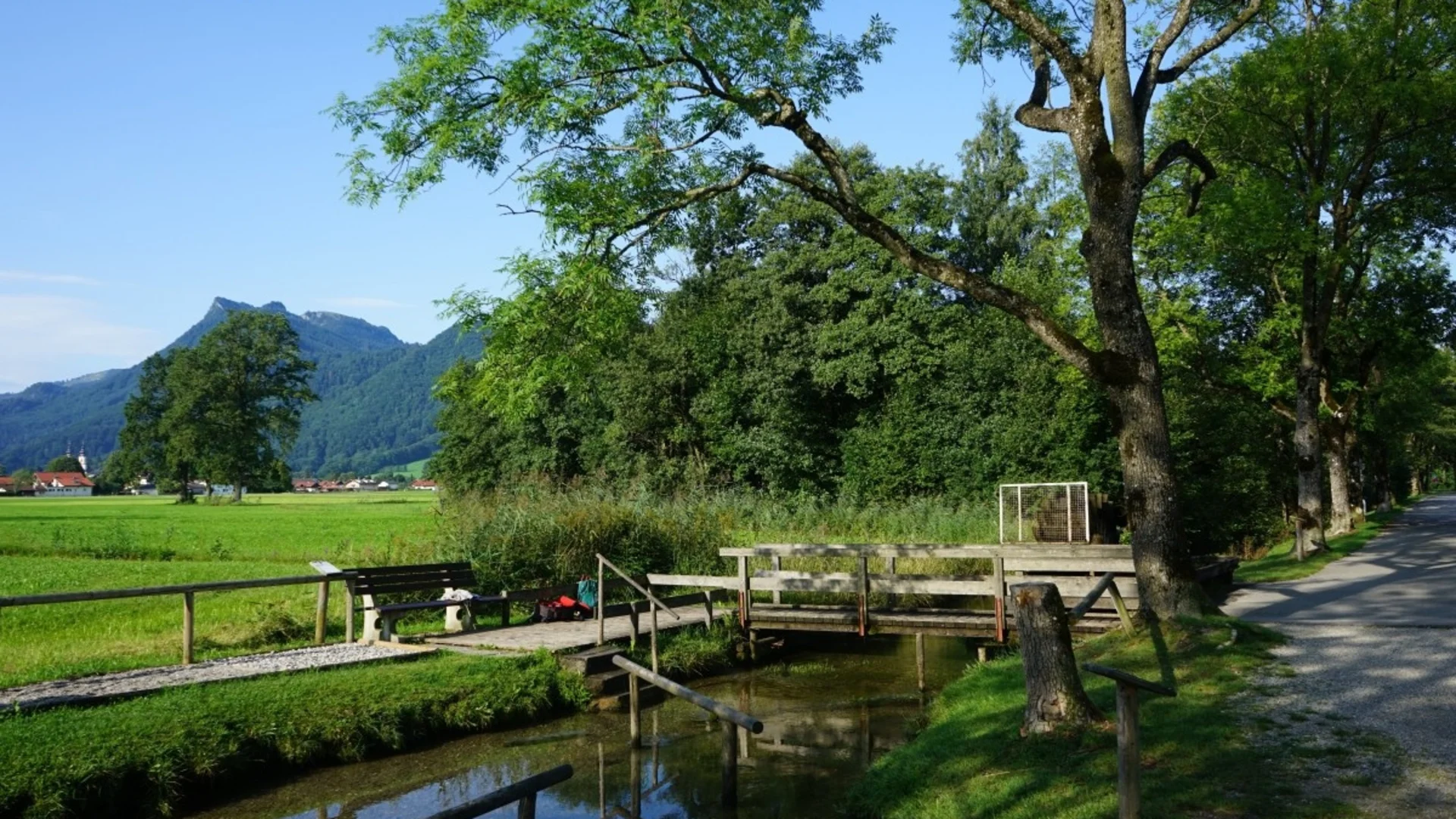Groen landschap met bomen, kleine beek en houten brug onder een blauwe lucht