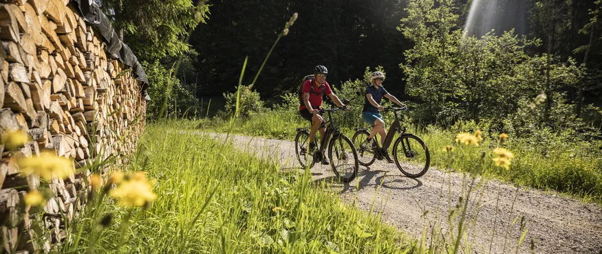 Twee fietsers rijden op een bospaadje naast gestapeld brandhout