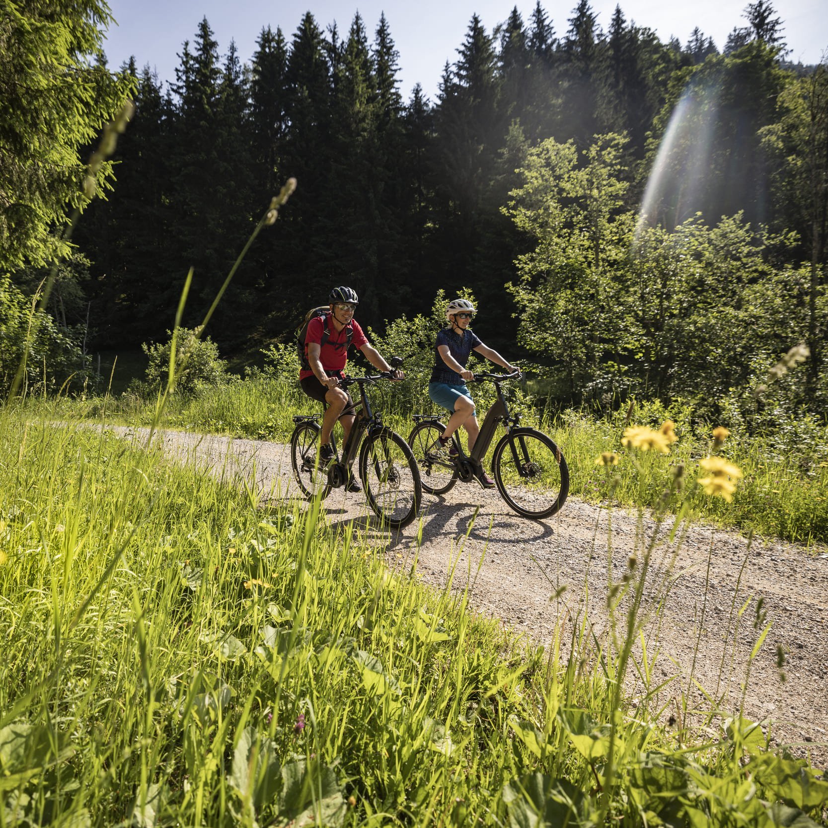 Zwei Fahrradfahrer fahren auf einem Waldweg neben einem Holzstapel