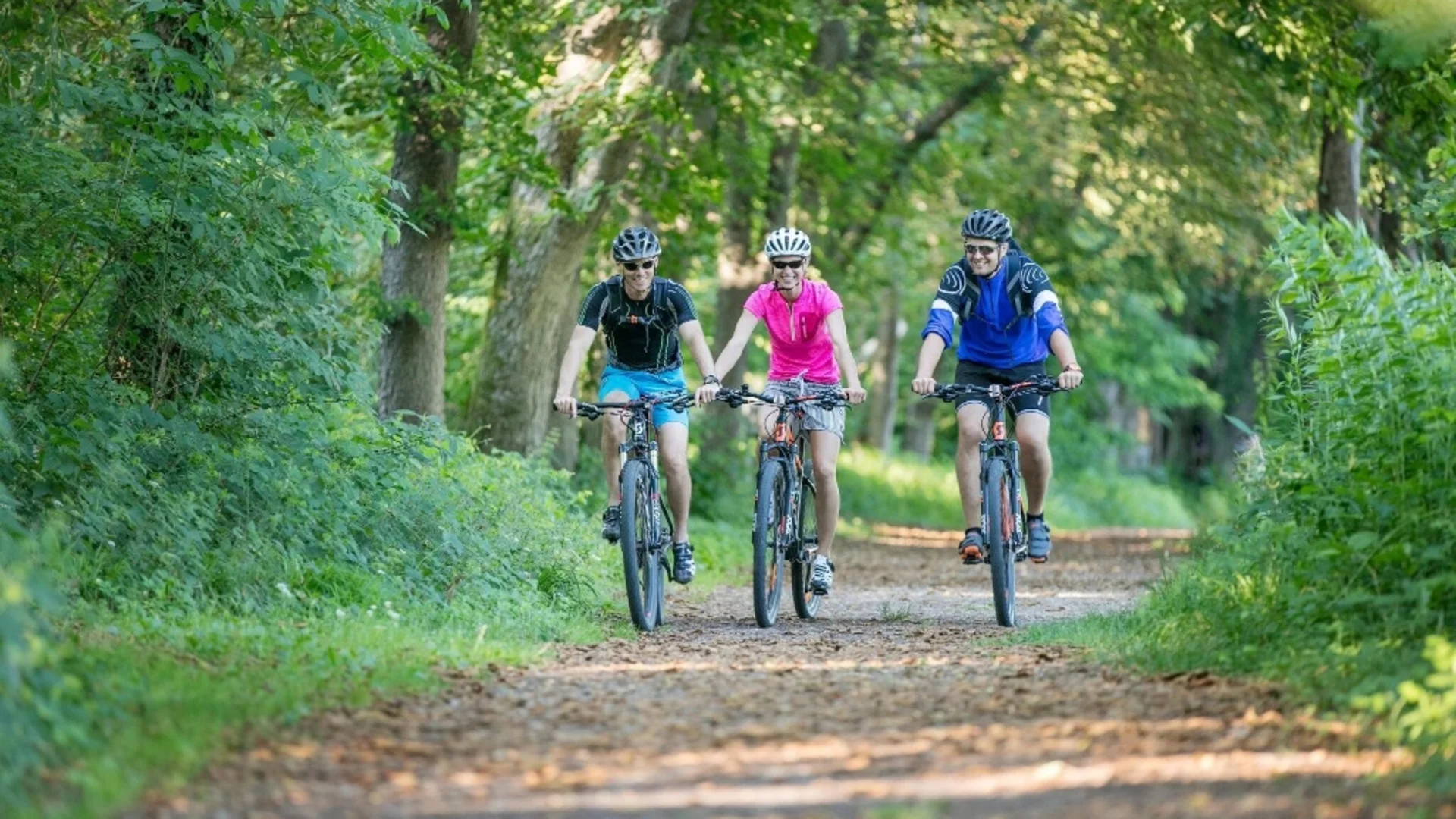 Drie fietsers rijden op een bospad onder groene bomen