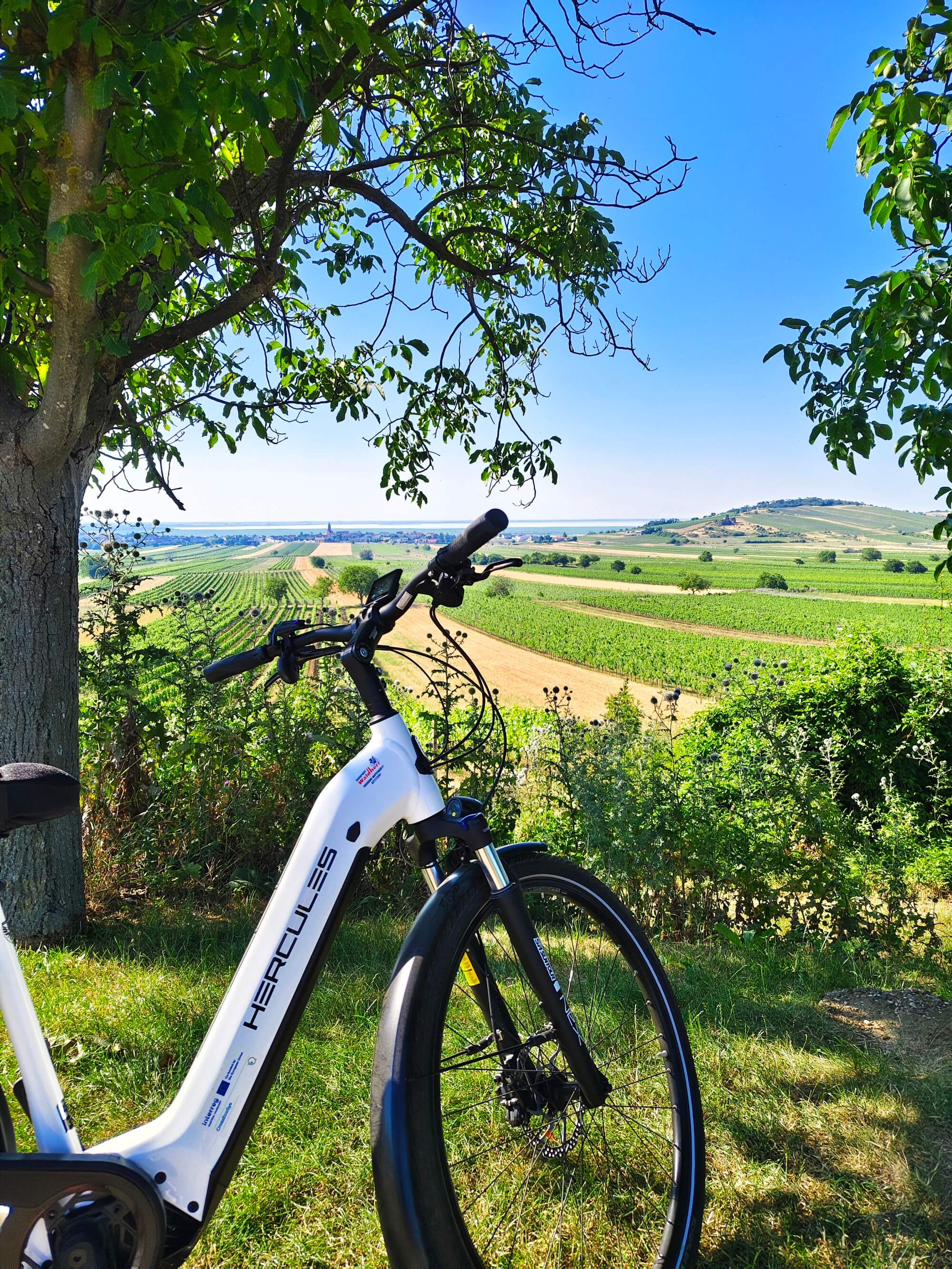 E-Bike vor einer grünen Landschaft und blauem Himmel im Sommer