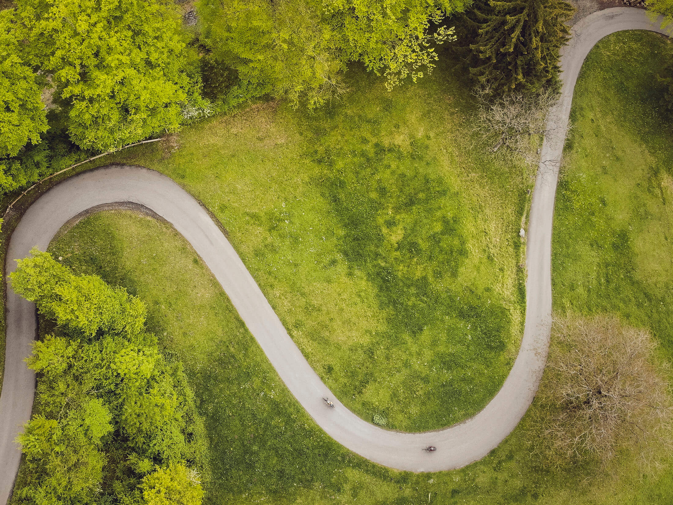 Luftaufnahme eines geschwungenen Wegs durch grünen Park mit Bäumen