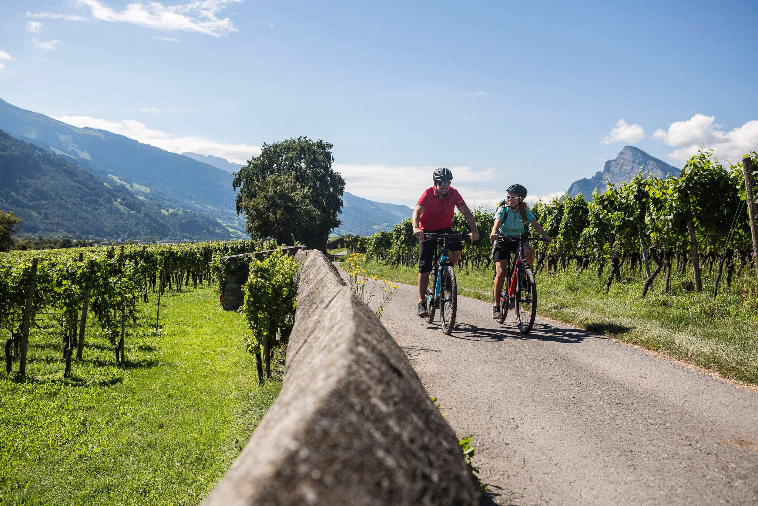 Zwei Radfahrer auf Landstraße durch Weinberge mit Bergen im Hintergrund