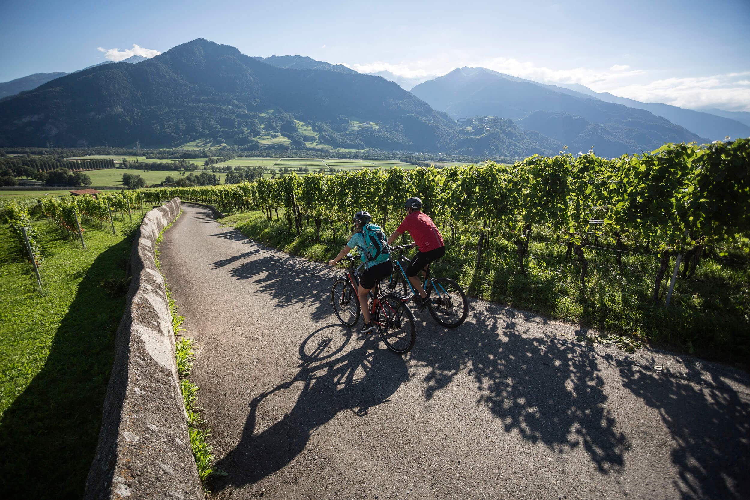 Zwei Radfahrer fahren auf einem Weg durch Weinberge mit Bergen im Hintergrund