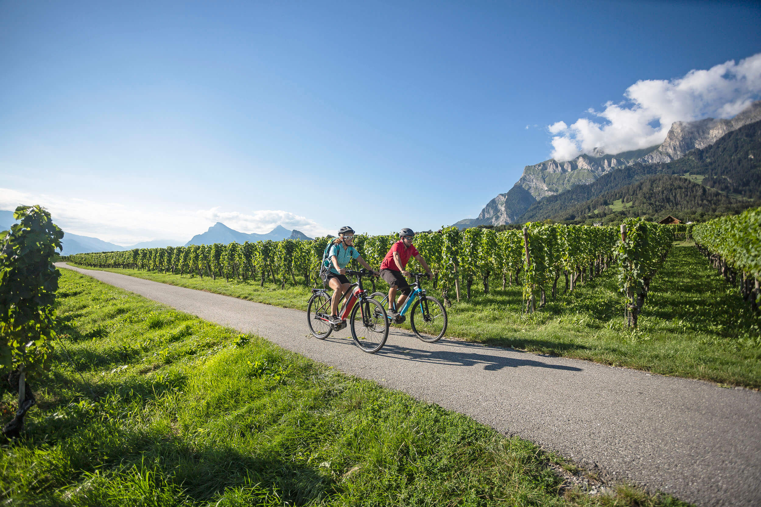 Zwei Radfahrer fahren auf einem Weg durch Weinreben mit Bergblick