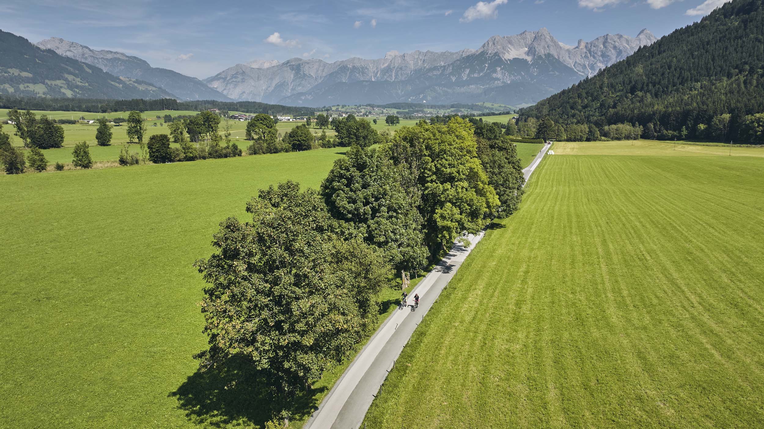 Fahrradfahrer auf Landstraße mit Bäumen und Alpen im Hintergrund