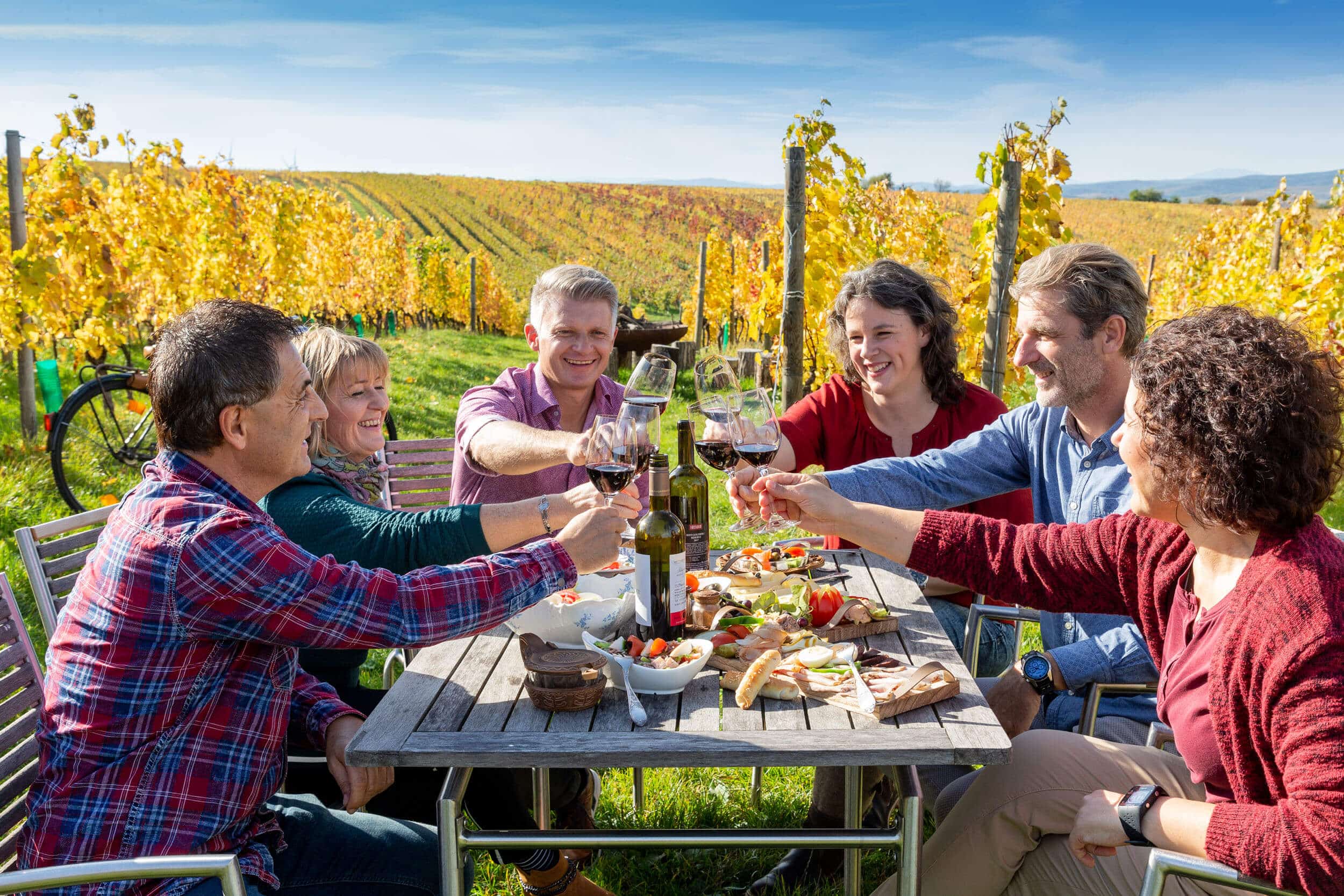 Sechs Menschen stoßen mit Rotwein in einem Weingut bei Sonnenschein an