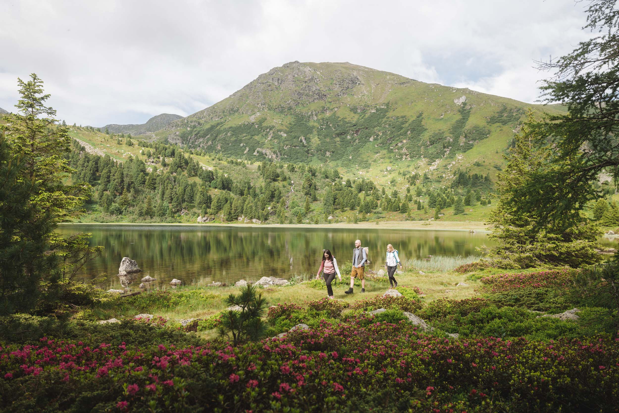 Drei Wanderer am Bergsee mit Bergen und blühenden Sträuchern im Vordergrund
