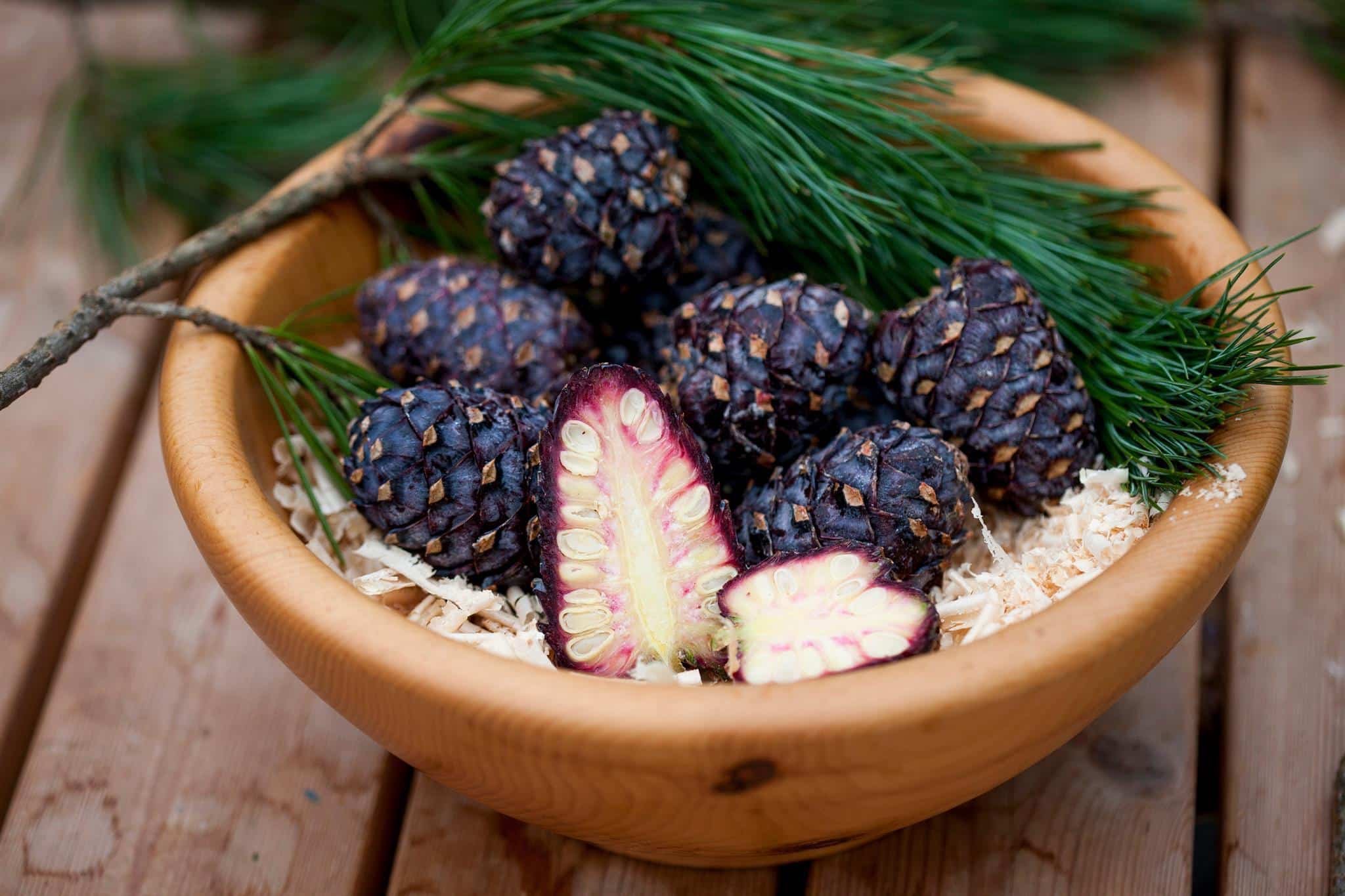 Wooden bowl with black pine cones and green pine branches on wood