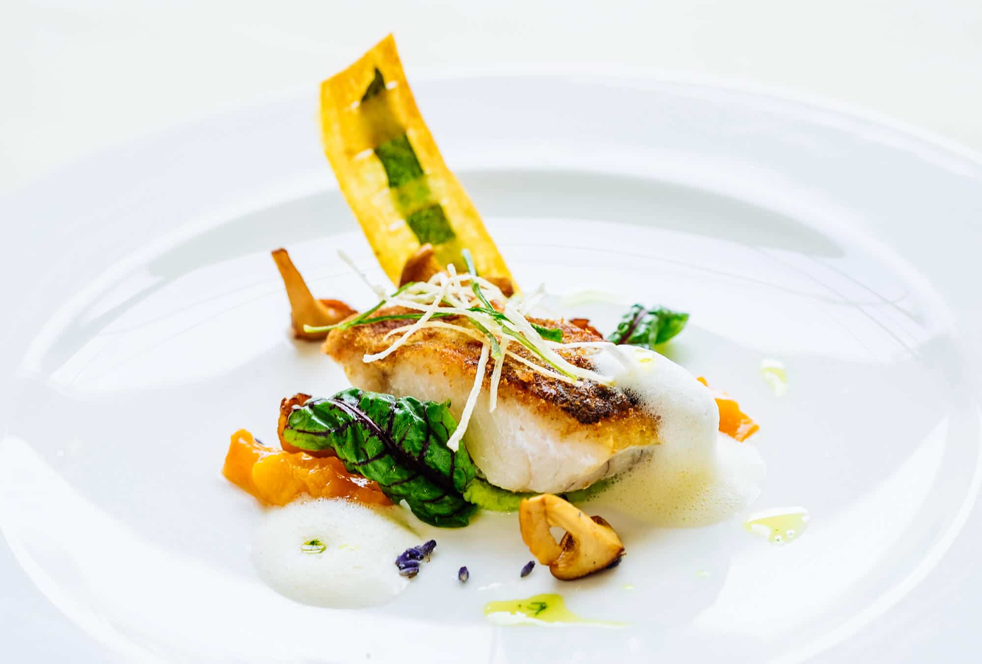 Gourmet fish fillet with vegetables and foam on a white plate