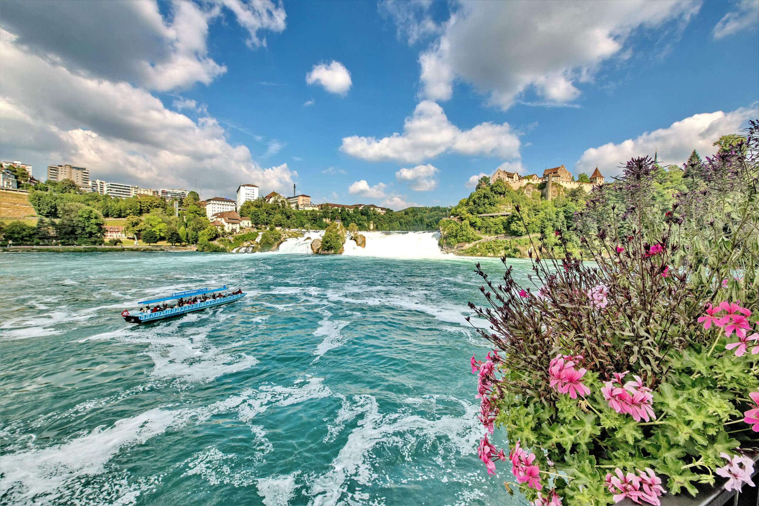 RheinWelten – Eine Reise entlang des Wassers © Schaffhauserland Tourismus - Bruno Sternegg Boot auf dem Rheinfall, blühende Pflanzen und Burgruine bei sonnigem Himmel