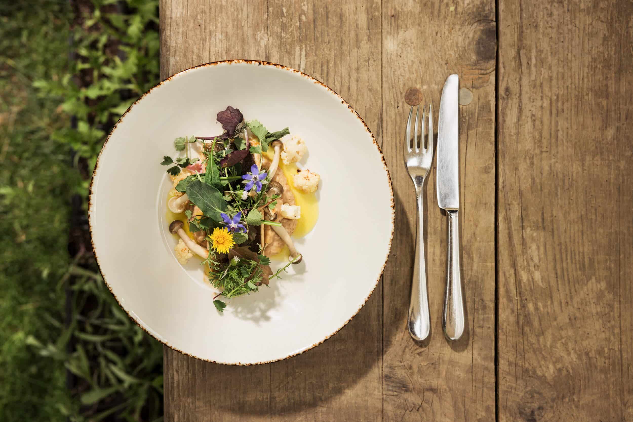 Fein angerichtetes Gericht mit Kräutern und essbaren Blumen auf weißem Teller