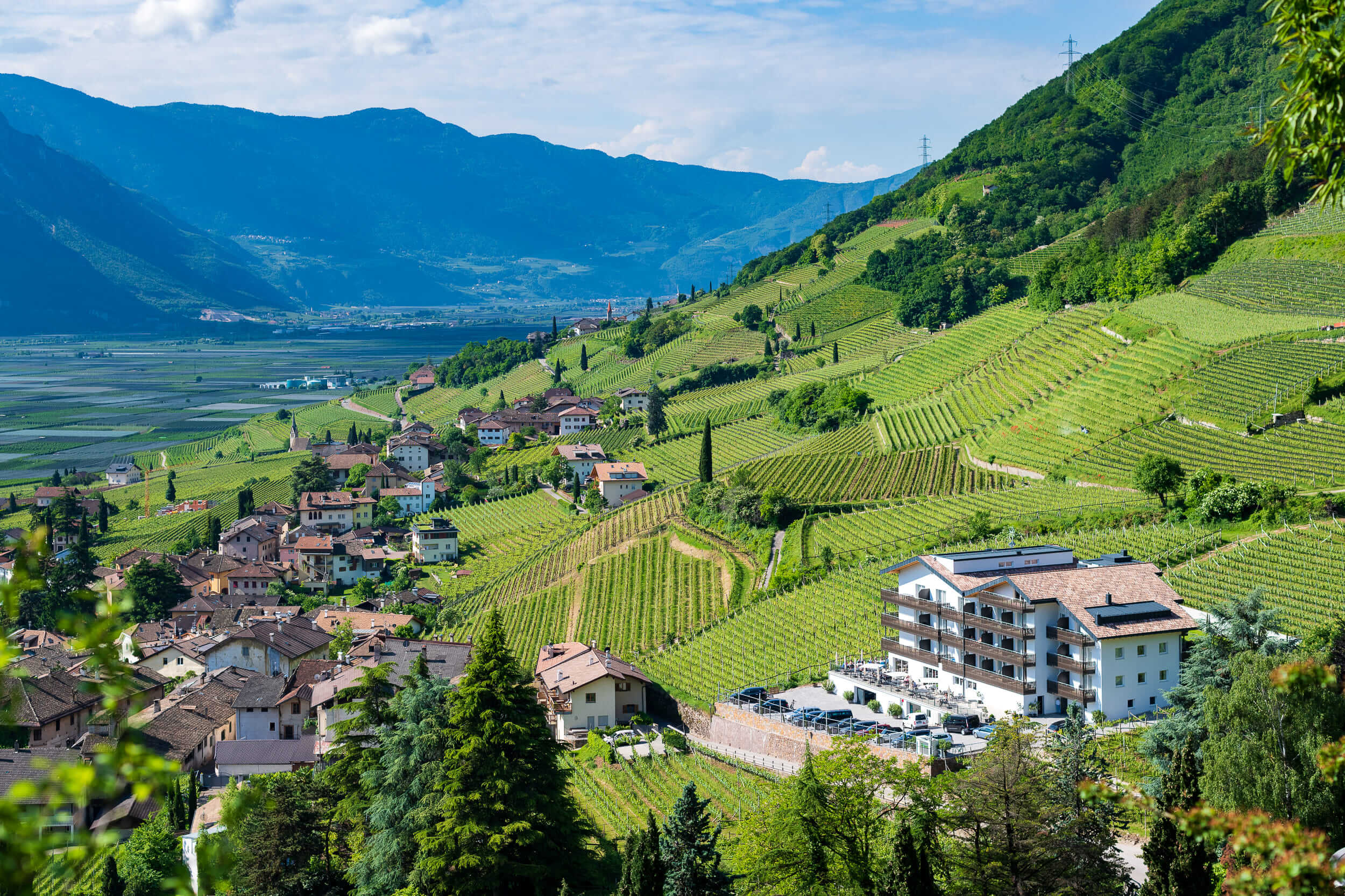 Blick auf Dorf und Weinberge an einem sonnigen Berghang