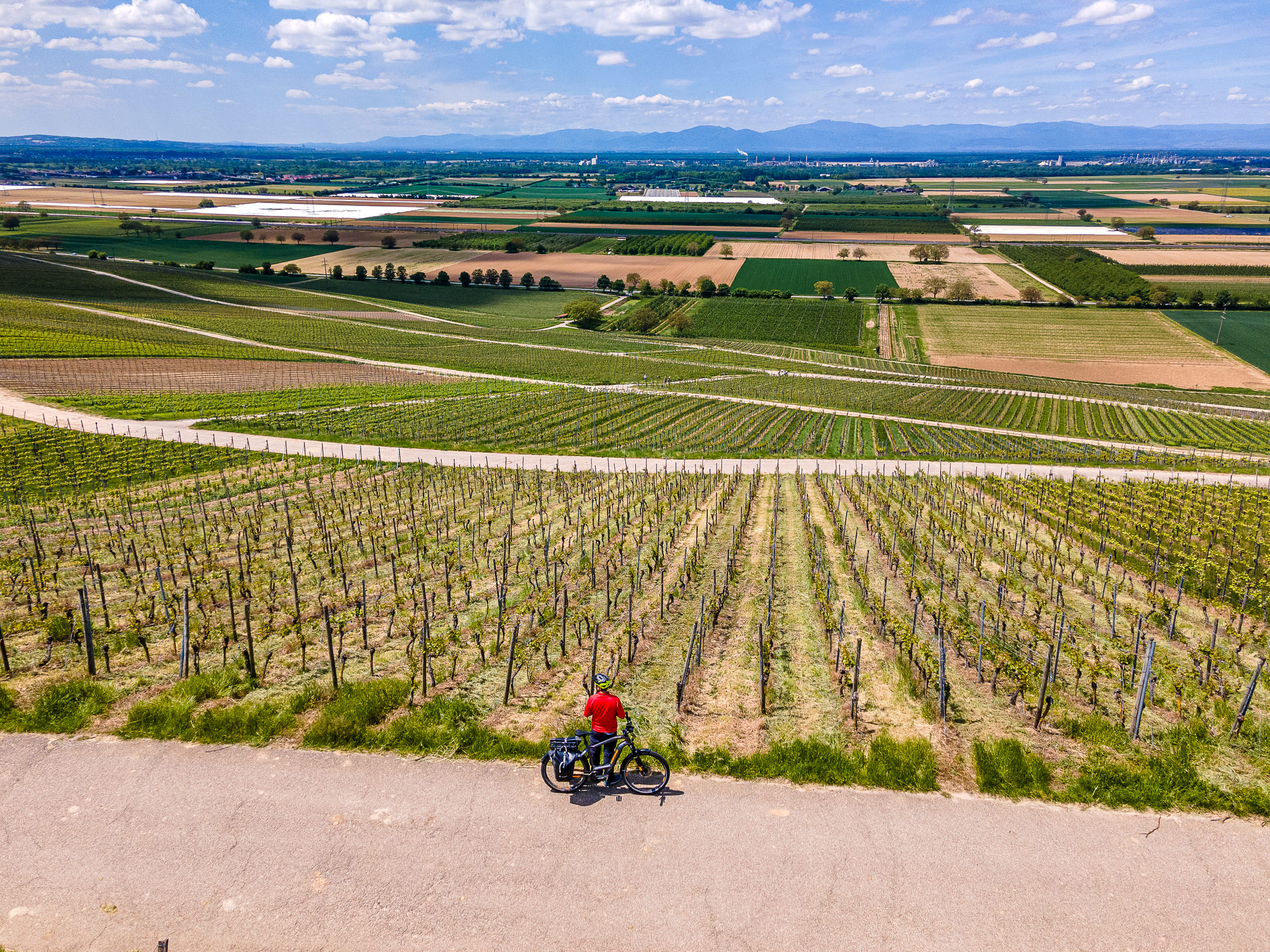 Radfahrer steht vor Weinberg mit Blick auf landwirtschaftliche Felder und Berge