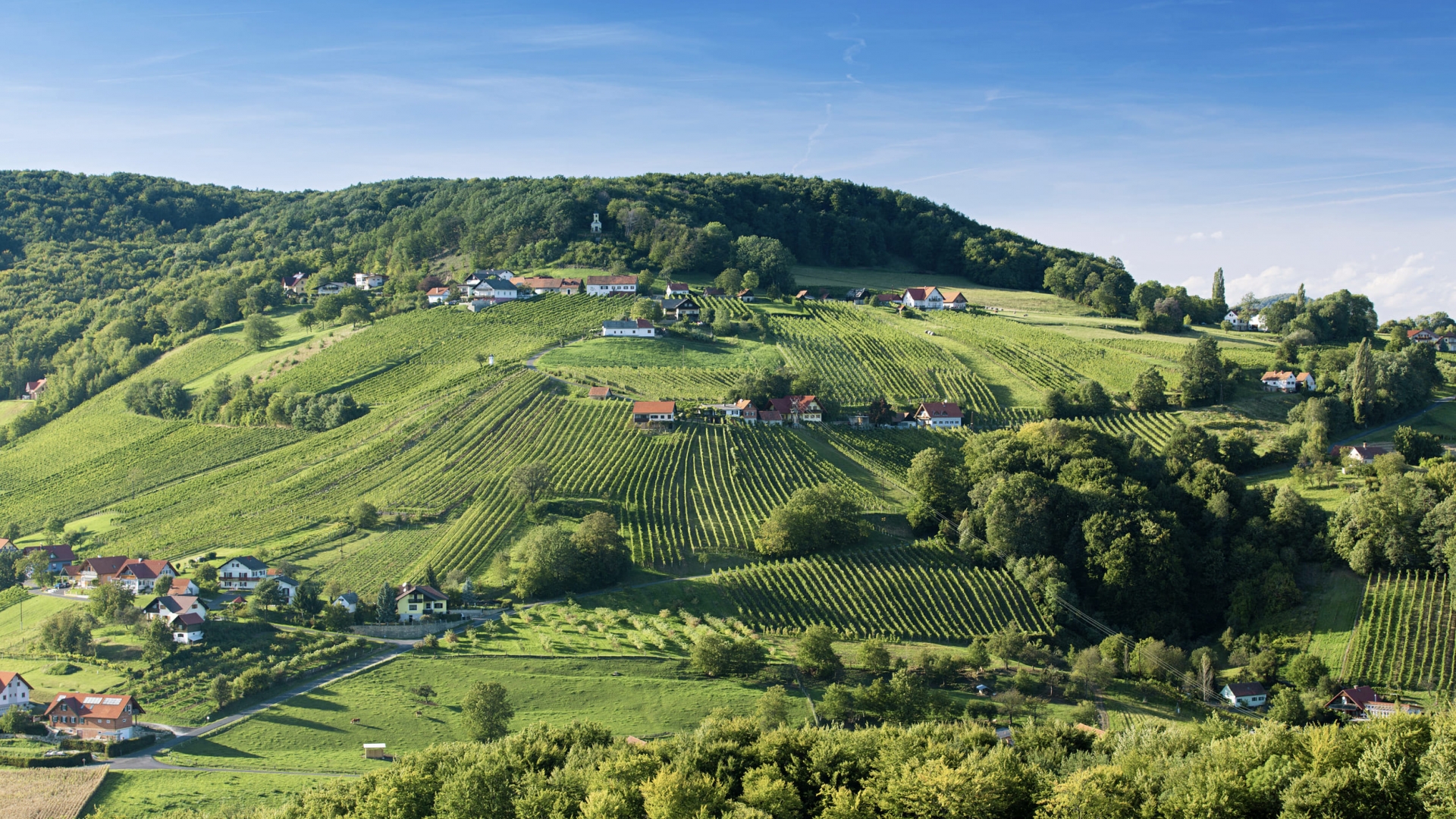 Steiermark © Steiermark Tourismus Harry Schiffer